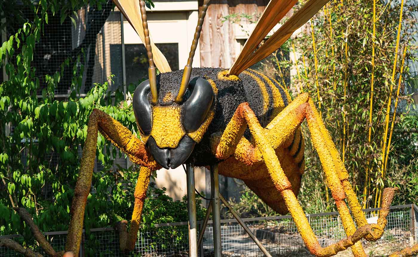 Reuze-insecten Dierenpark ZiE-ZOO tijdens de openluchtexpositie 'Het kriebelt in Dierenpark ZiE-ZOO'