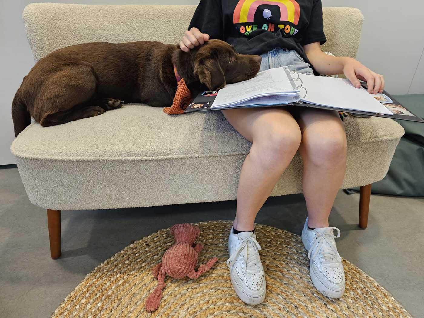Therapiehond Nelly tijdens een behandeling bij het Regionaal Autisme Centrum